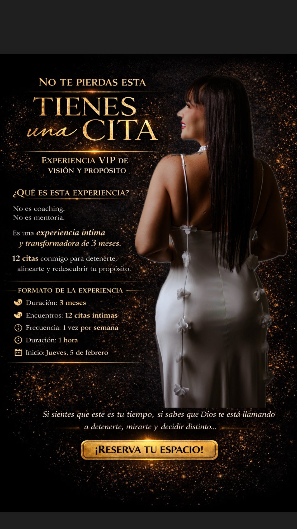 Experiencia VIP: VISIÓN Y PROPÓSITO (3 meses)